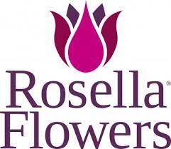 Rosella Wild Hibiscus